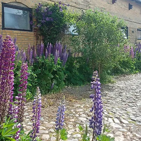 5 Bedroom Lovely In Sydals